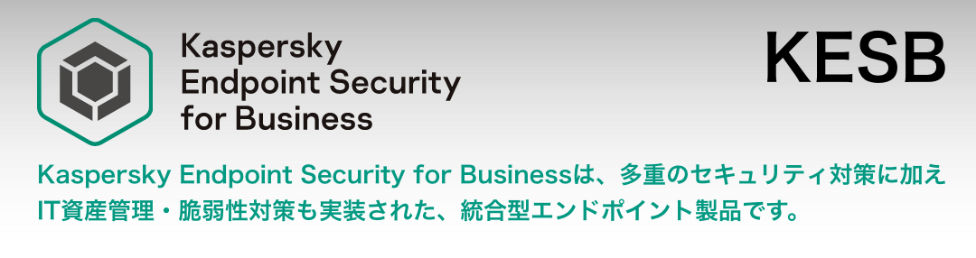 Kaspersky カスペルスキー Endpoint Security for Business 最新の脅威からデータを守る次世代型アンチウイルス